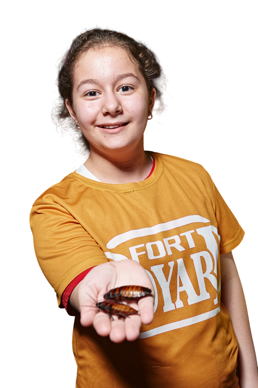 Не банальный выпускной вместе с Форт Боярд